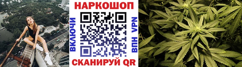 Наркота Гаврилов Посад Марихуана  А ПВП  kraken ССЫЛКА  МЕФ  Псилоцибиновые грибы 