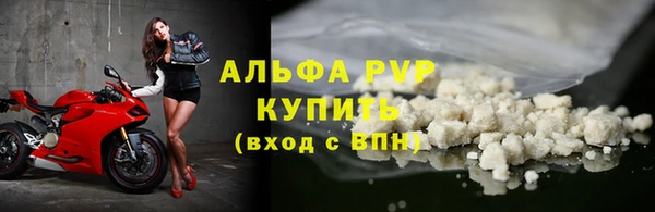 шишки Заволжье