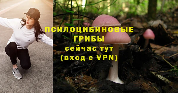 ешки Заводоуковск