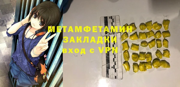 шишки Заволжье