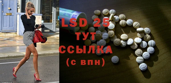 шишки Заволжье