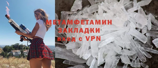 шишки Заволжье