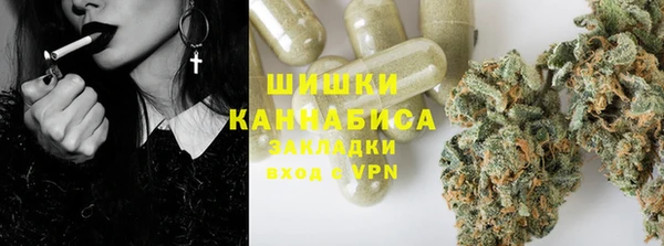 альфа пвп Елизово