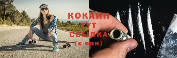 шишки Заволжье
